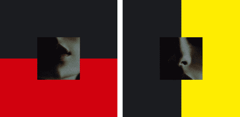 Pure-Concentated-1